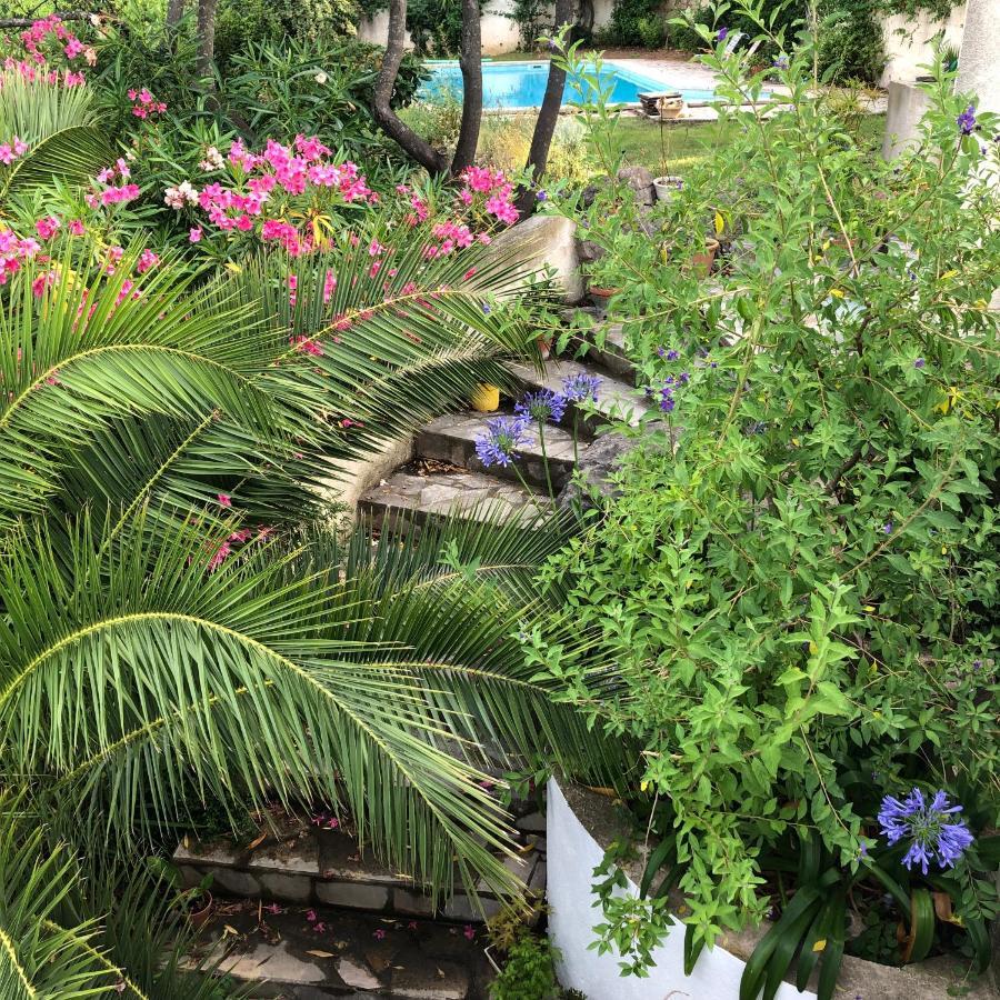 L'Appartement - Jardin Secret Marseille Ngoại thất bức ảnh