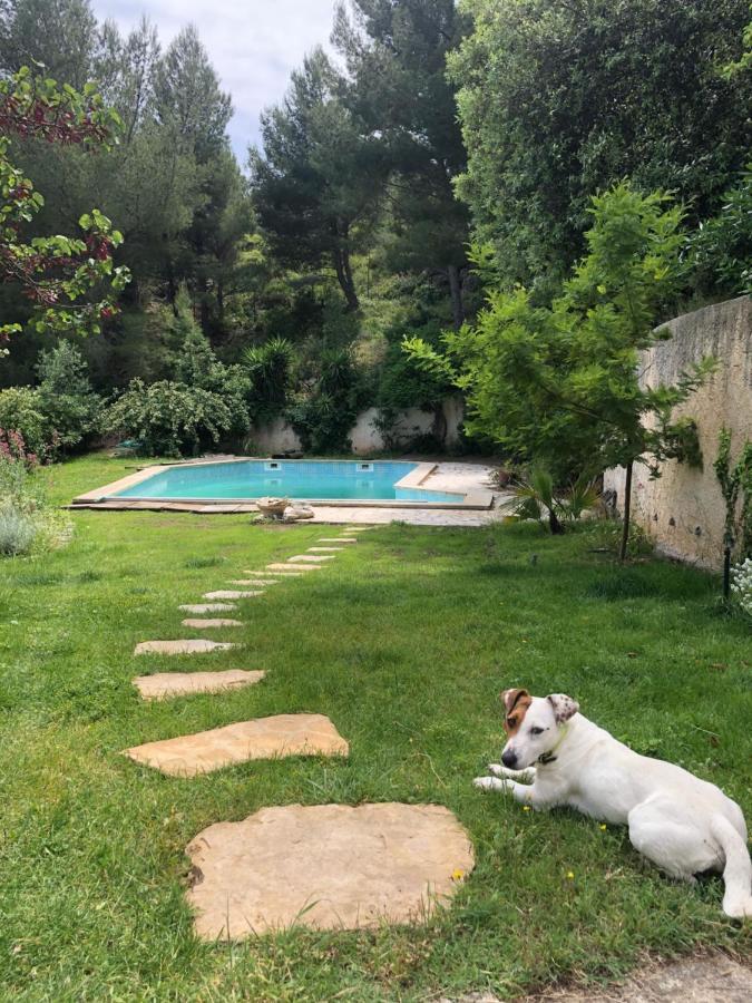 L'Appartement - Jardin Secret Marseille Ngoại thất bức ảnh