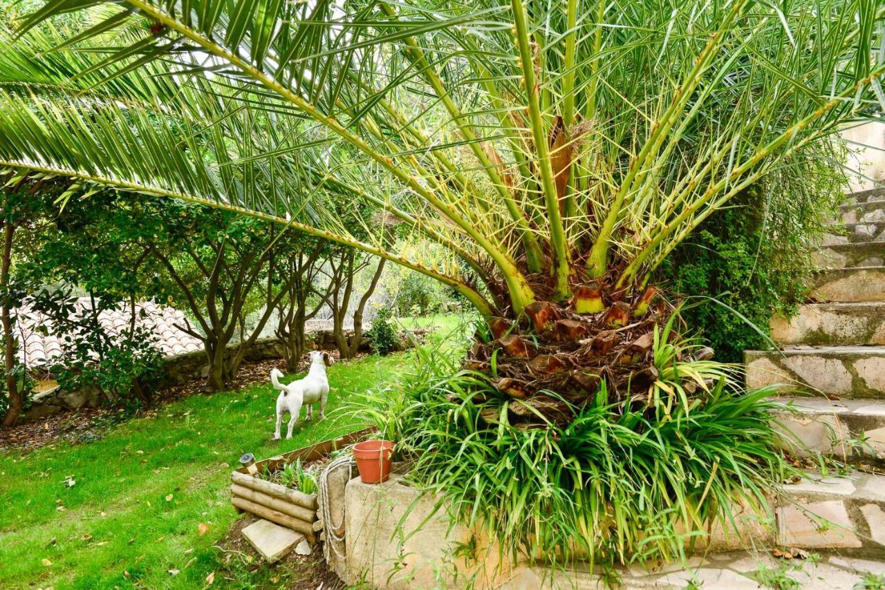 L'Appartement - Jardin Secret Marseille Ngoại thất bức ảnh